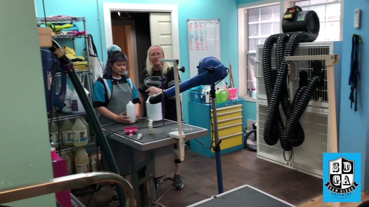 San Diego Grooming Academy YouTube