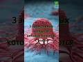 3 эффективных продукта которые борются с раком #здоровье #полезныесоветы #народнаямедицина #рак