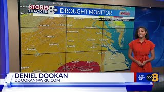 'It looks green, but it's deceiving': Severe drought takes toll on Virginia farmers