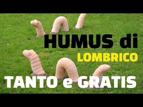 Video: Creazione Di Terreno Ad Alto Contenuto Di Humus