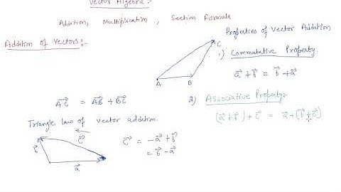 Vector Algebra | Class 12 Mathematics Vector Algebra