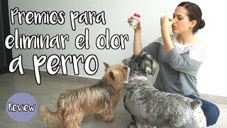 ¿Cómo eliminar el olor a perro con premios? ¡Deopet!