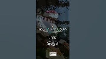 {وَالْأَرْضَ وَضَعَهَا لِلْأَنَامِ (10)}|محمد صديق المنشاوي|سورة الرحمن.
