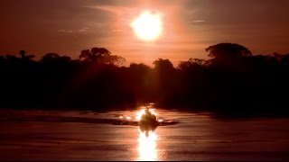 Celebrity Explore the Upper Amazon Net Worth