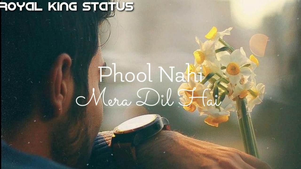 Phool Tumhe Bheja Hai Khat Mein new song status YouTube
