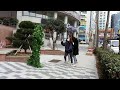 Bushman Prank in south Korea Best Reactions!