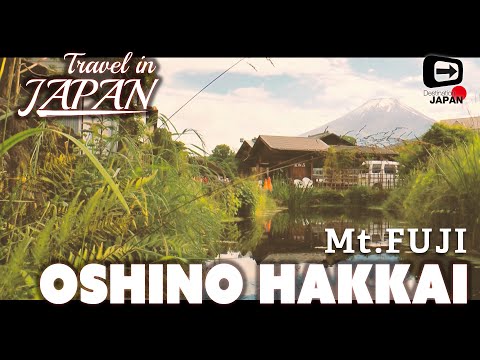 Travel in Japan