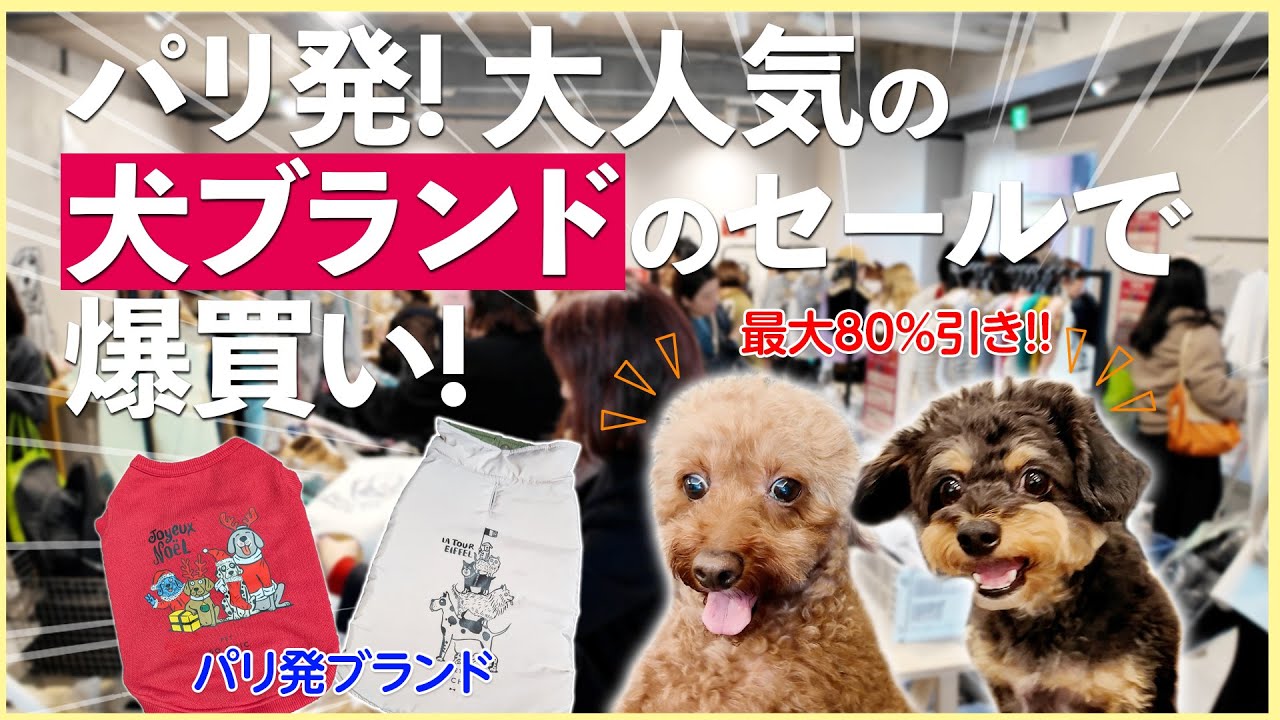 【犬グッズ】パリ発! ペットブランドの最大80%引きセール&大人気インテリアショップの新作犬アイテムを爆買い！