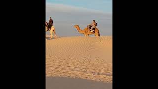 Evolvenza E Buona Come Il Pane