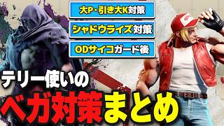 ベガ対策｜確定反撃・大Pと引き大Kの連係への割り込み・シャドウライズの落とし方