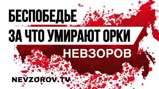 Сша Возвращают Статус Мирового Шерифа. Володин И Не Та Дверь. Роль Медведева. Успехи Русских.