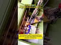 High Speed Self-Tapping Screw Making Machine Automatic Screw and Thread Rolling Machine
