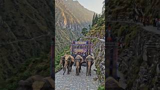 Dj Sarzen का हाथी वाला Roudshow 😱 #dj #djsarzen #djsarjan #djremix #djviral #shorts  #djpankaj
