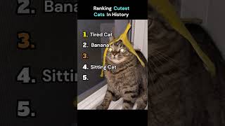 Purr Archives: The Ultimate Viral Cat Ranking #shorts