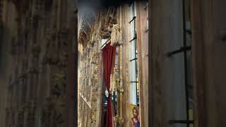 St Mary’s in Totnes. Stone carvings.  Not going to be very popular but I liked them.