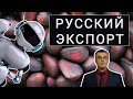 Рубль при Байдене / Пастила на экспорт / Мясо из растений / Роботы-официанты