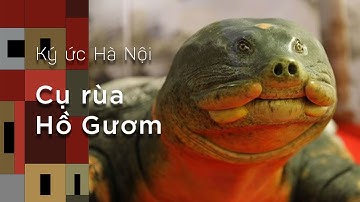 Ký Ức Hà Nội #22: Cụ Rùa Hồ Gươm