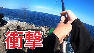釣れたダツを丸呑みにする怪物平政が潜む島でカゴ釣りしたら海に引きずり込まれそうな強烈な引きが、、、