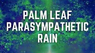 PALM LEAF PARASYMPATHETIC RAIN | 12 Hours of Tropical Calm for Deep Rest | Black Screen | No Mid Ads