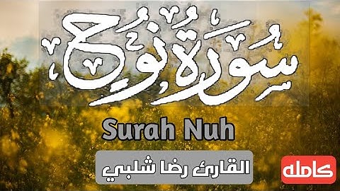 سورة نوح | كامله |تلاواه خاشعه| القارئ رضا شلبي♥😍