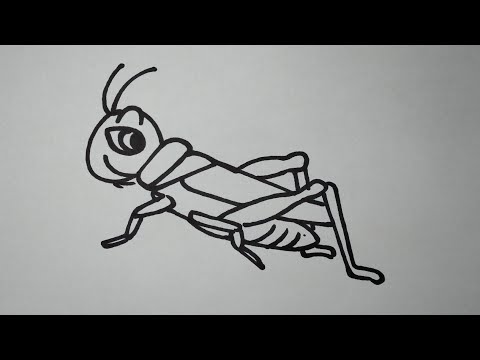 Wie man Heuschrecken zieht/How to draw locusts