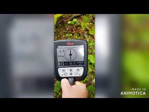 Leica cable locator
