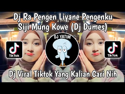 DJ RA PENGEN LIYANE PENGEN KU SIJI MUNG KOWE KENYATAAN E DUDU|DUMES BY PANI FVNKY VIRAL TIKTOK 2023