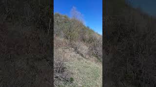 ВЕРБНОЕ ВОСКРЕСЕНЬЕ, ТАРХАНКА