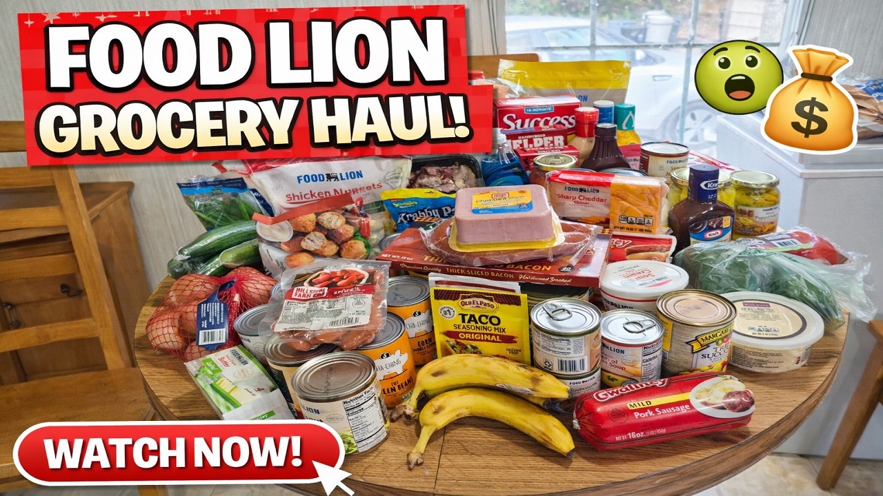 Food Lion Grocery Haul 2/26/26