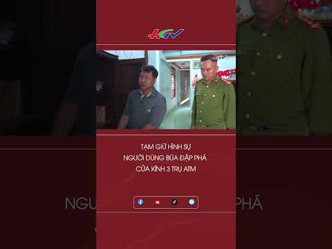 Tạm giữ hình