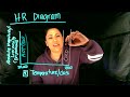 Mapping Stellar Characteristics Through The HR Diagram