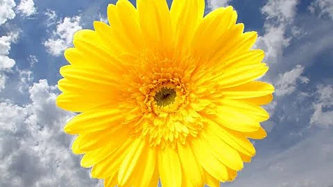 Sunday Service: "When the Spirit Moves" with Rev. ...