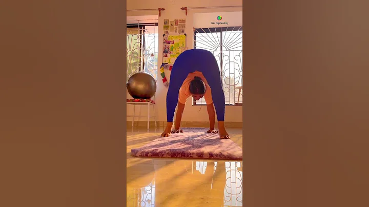 Back bending - Balancing- Forward bending yoga pose #yogaurmi #yogawithurmipandya #2023 #yoga #mood