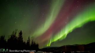 John Kmiec - Northern Lights