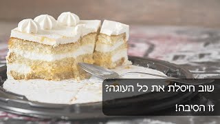 שוב חיסלת את כל העוגה? זו הסיבה!