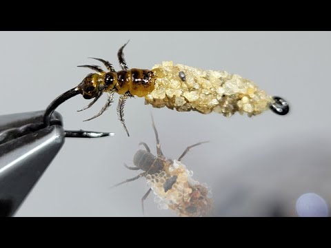 Vidéo: Larve de Caddis : description, habitat et reproduction