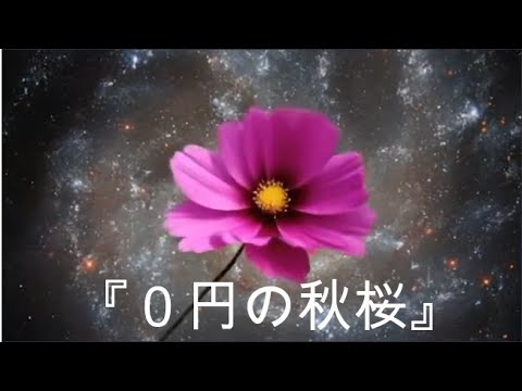 YouTube Music