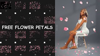 How to Add flower Petal to picture + free files screenshot 3