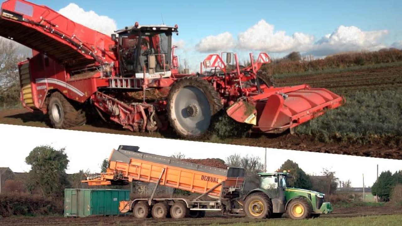 Arrachage de carottes 2019 en Bretagne I GRIMME Varitron 470 I John Deere 8345R & Dezeure