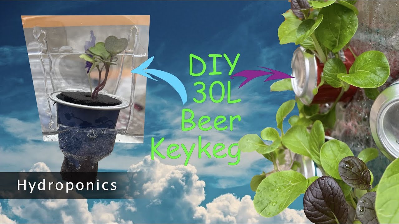 Recycle KeyKeg project #8 | Simple 16 plant vertical hydroponic unit using a 20L keykeg