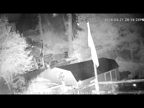 Live Honey Bee CAM - 1080p HD 24/7 Like & Share Us! Through Awareness - we're saving the bees!