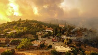 Tourists and villages evacuated as wildfires rage across Turkey, Greece, Italy • FRANCE 24