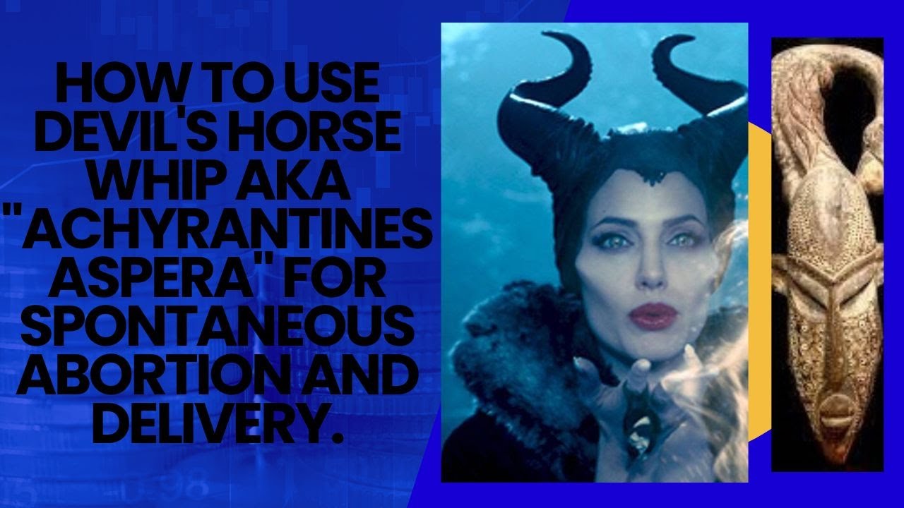 How To Use Devil's Horse Whip aka "Achyrantines Aspera" for Spontaneous Abortion and Delivery