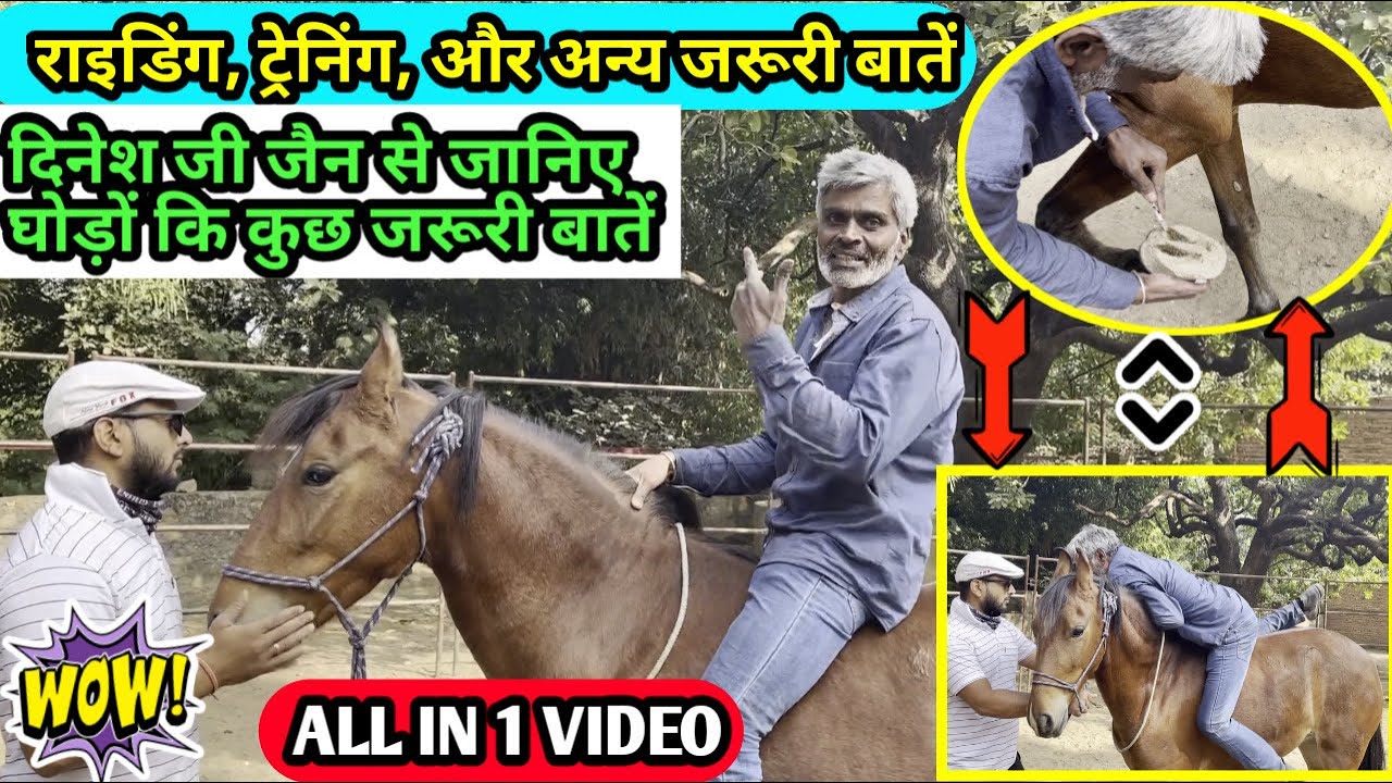 RIDING AND TRAINING OF HORSES BY DINESH JI JAIN