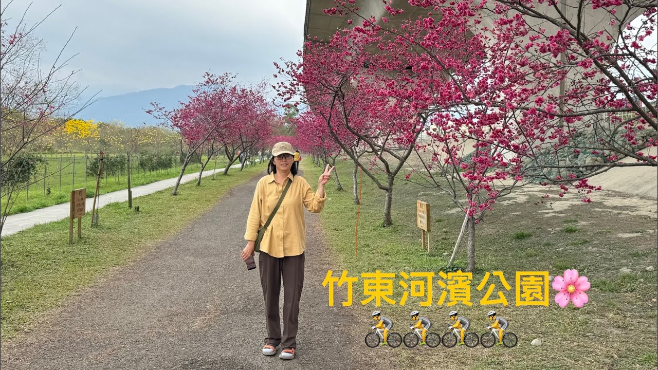 頭前溪竹東河濱公園🌸2026.2.26#櫻花 #公園 #皮皮獅