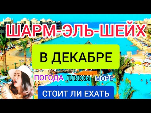 ШАРМ ЭЛЬ ШЕЙХ в декабре. Стоит ли ехать в ЕГИПЕТ ЗИМОЙ? Отдых в Египте: пляжи, погода, отели, цены