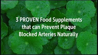 3 PROVEN Food Supplements that can Prevent Plaque Clogged Arteries Naturally