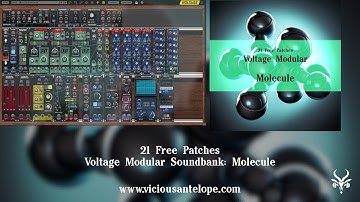 Free Voltage Modular Patches | Vicious Antelope - Molecule