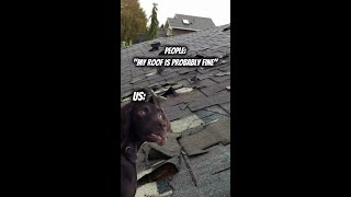 Don’t wait for a leak to remind you it needs care