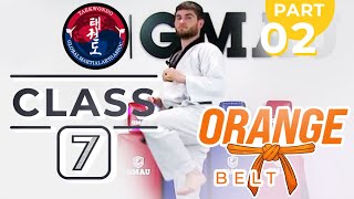 Taekwondo - Orange Belt - Class 7 (Part 2)